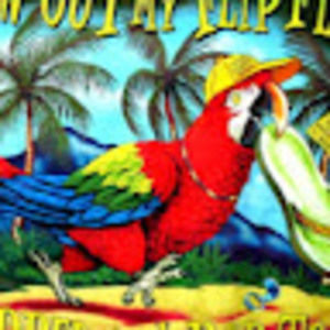 Meet your Posher, Marcie